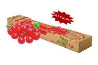 Мармелад из натур.ягод Красная смородина на фруктозе со стевией Б/САХ 100,0